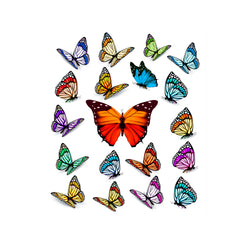 Butterflies