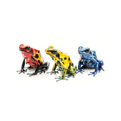 Reptiles