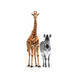 Zebra and Giraffes
