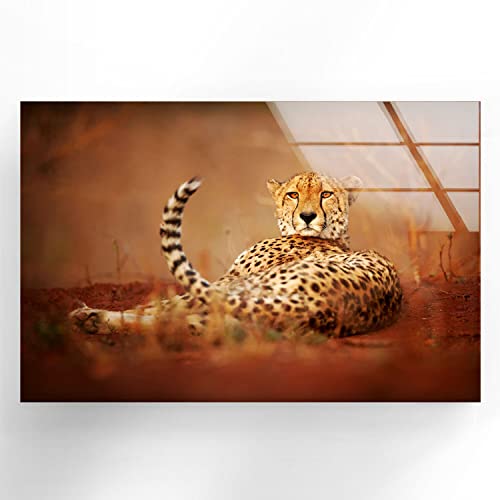 African Cheetah Glass Wall Art