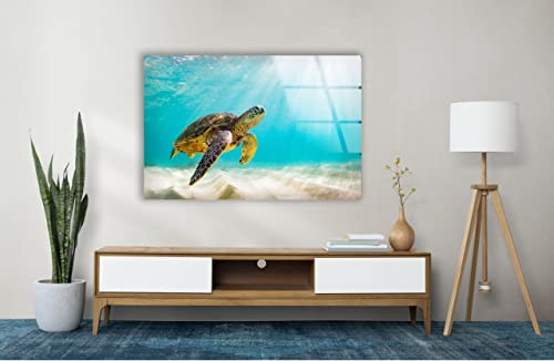Swimming Sea Turtle Glass Wall Art