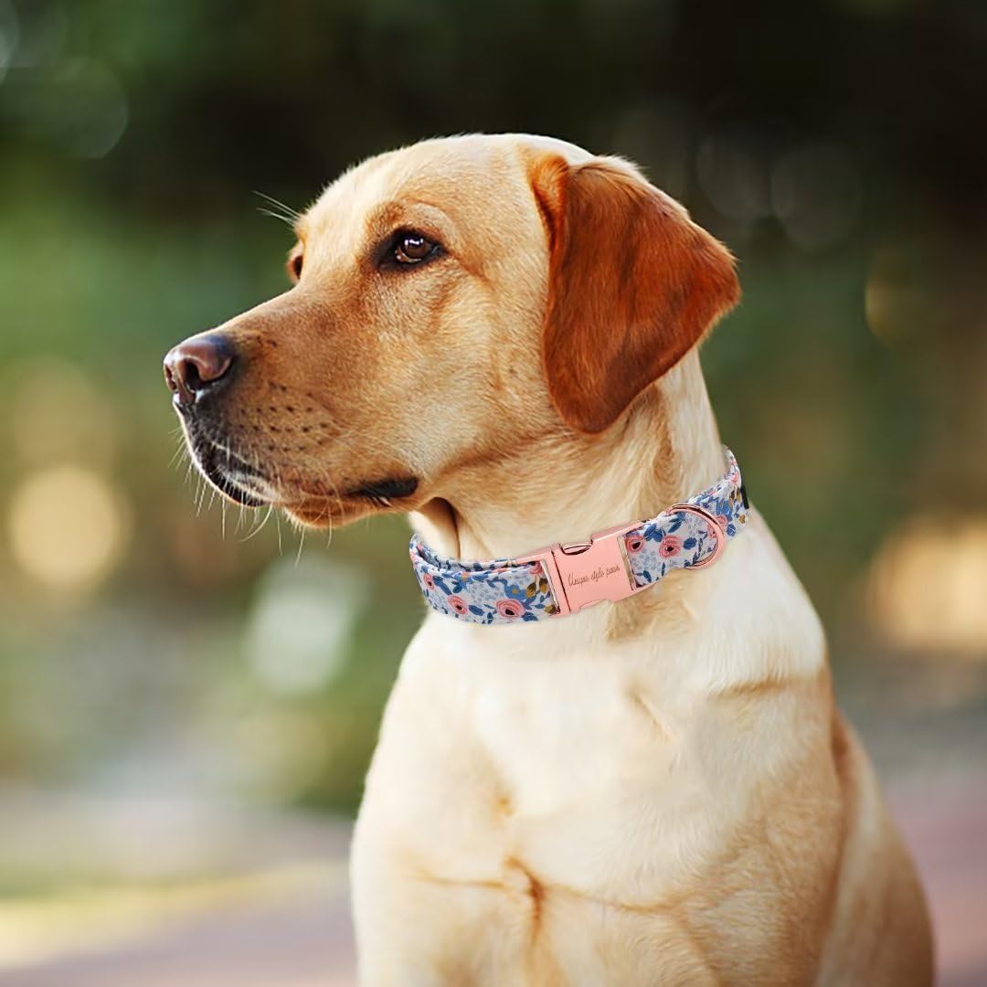 Strong Soft Cotton Dog Collar with Metal Buckle