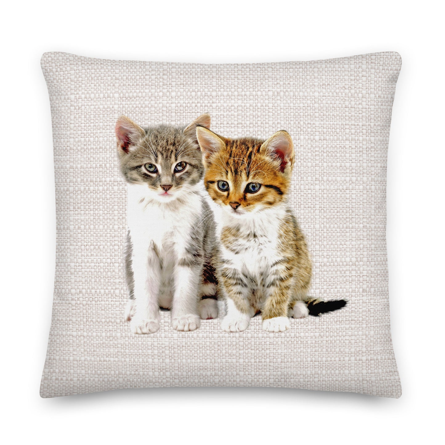 image of two pretty kittens on a grey cushion