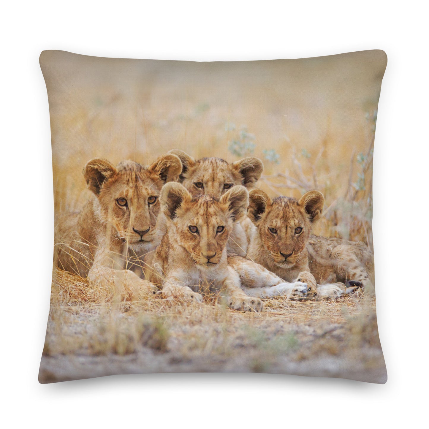 cushion pillow with four lion cubs in a natural setting on a beige background
