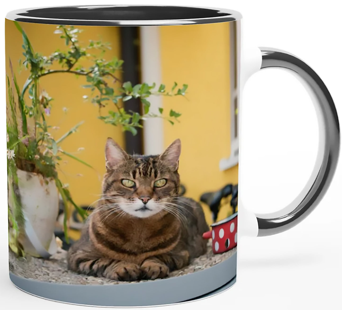Custom Printed Mugs For Cat Owners