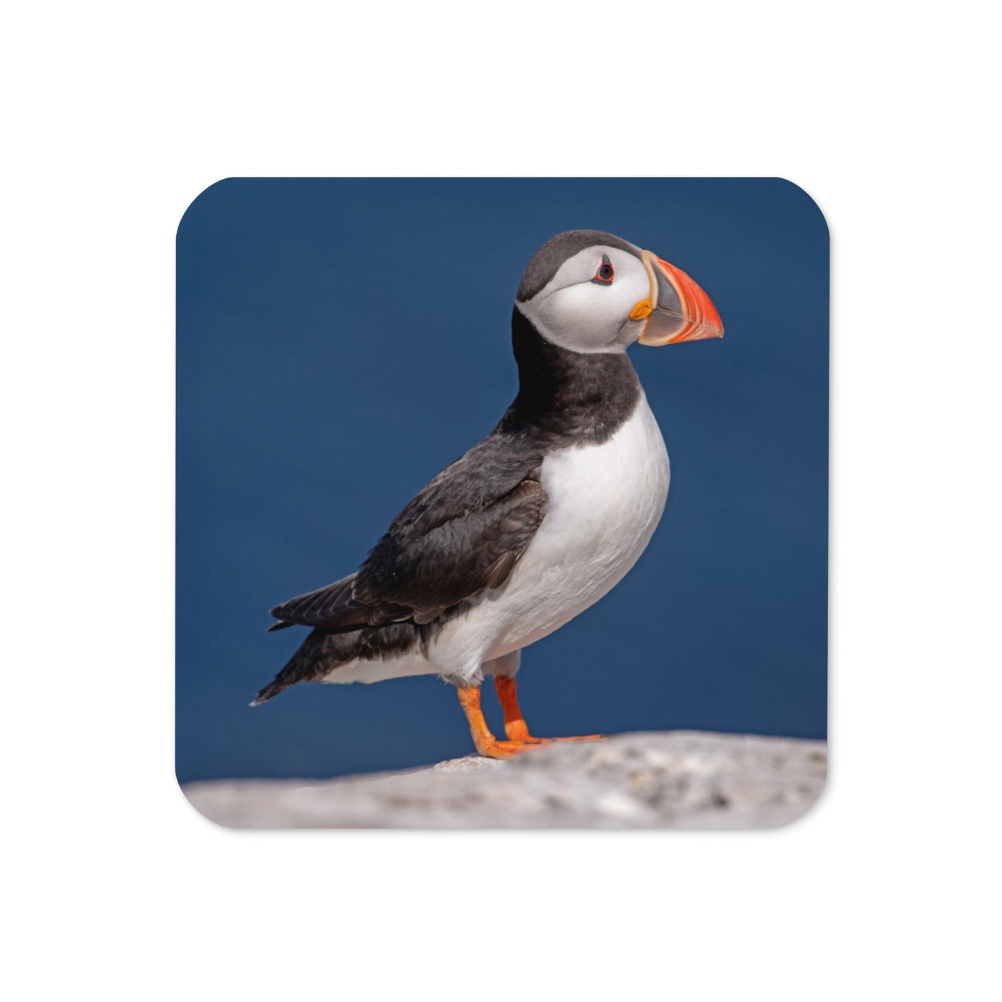 drinks coaster decorated with a puffin on a blue background