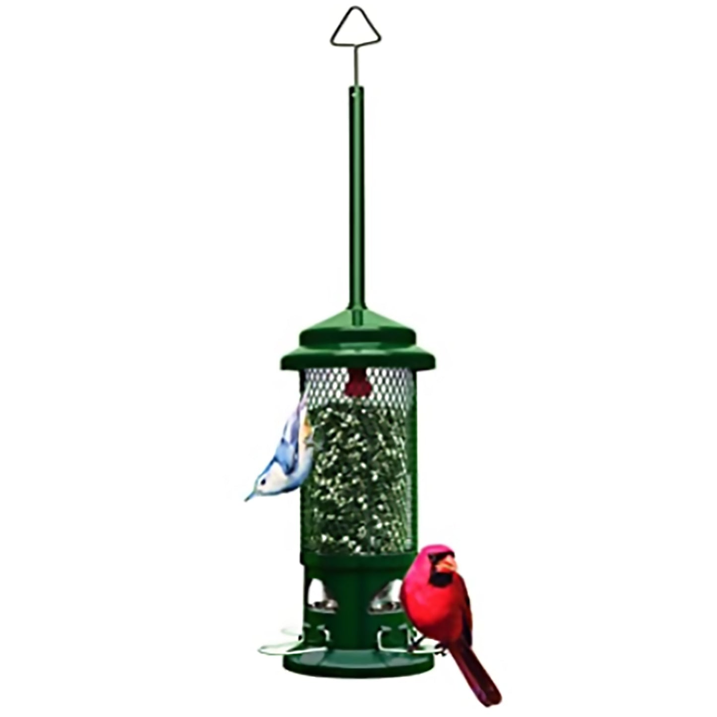 Squirrel Proof Bird Feeder