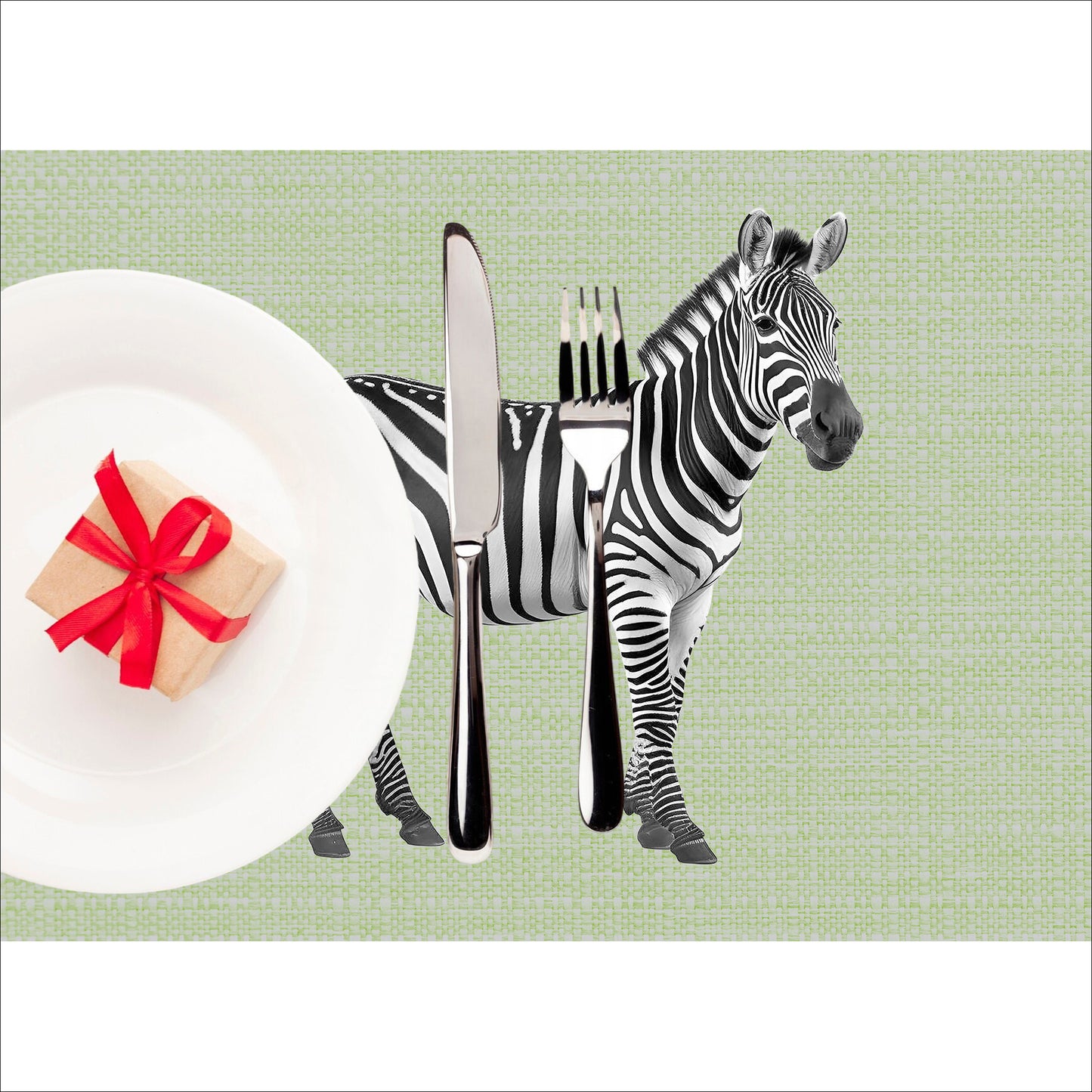 Zebra Placemat Set