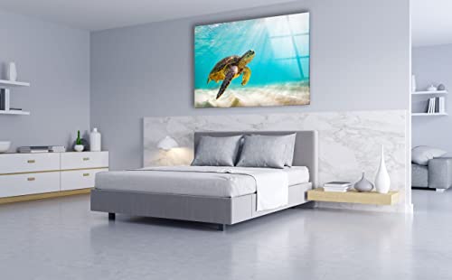 Swimming Sea Turtle Glass Wall Art