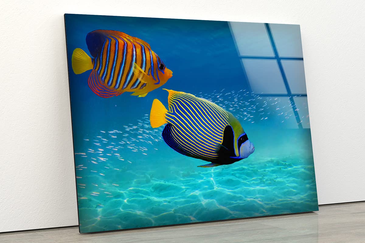 Tropical Reef Fish Glass Wall Art