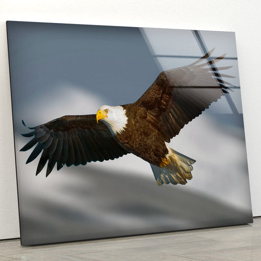 glass wall art featurting a bald eagle in flight against a grey backdrop