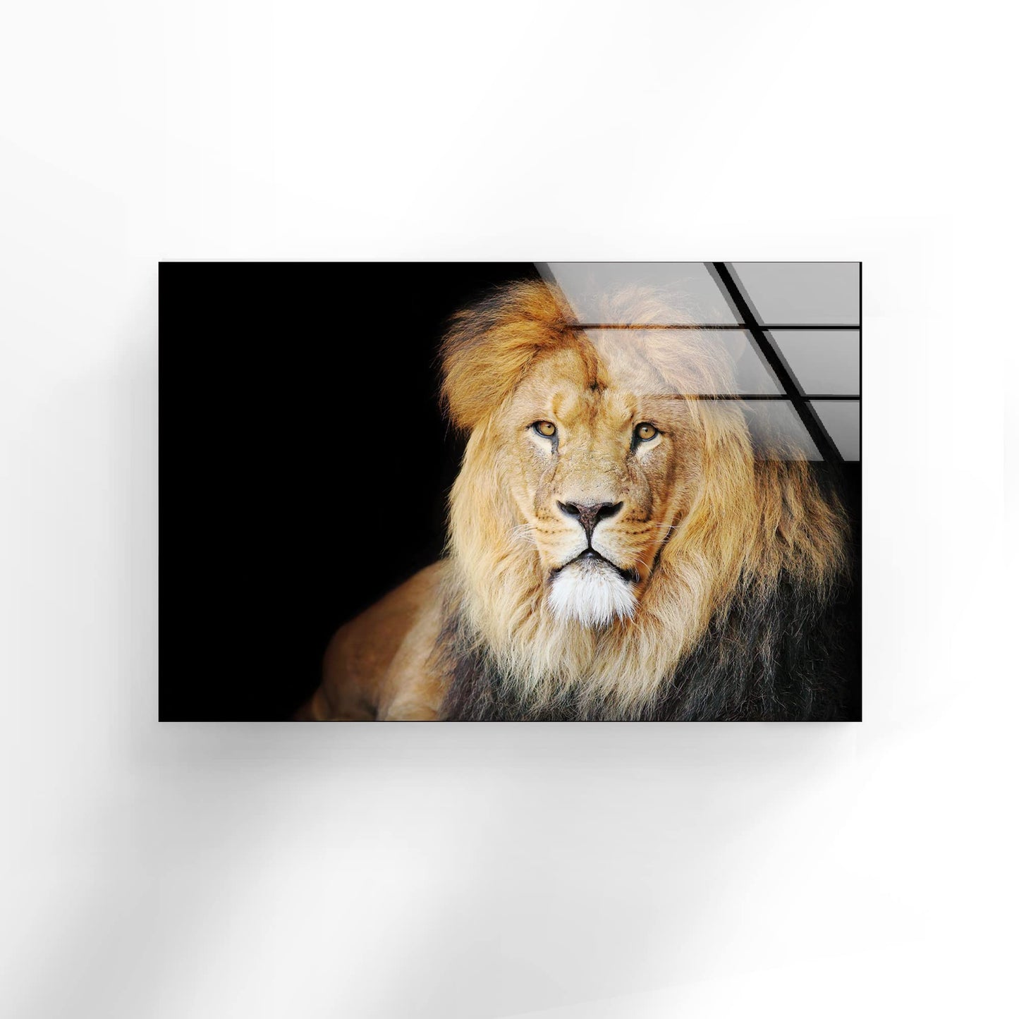 Majestic African Lion Glass Wall Art