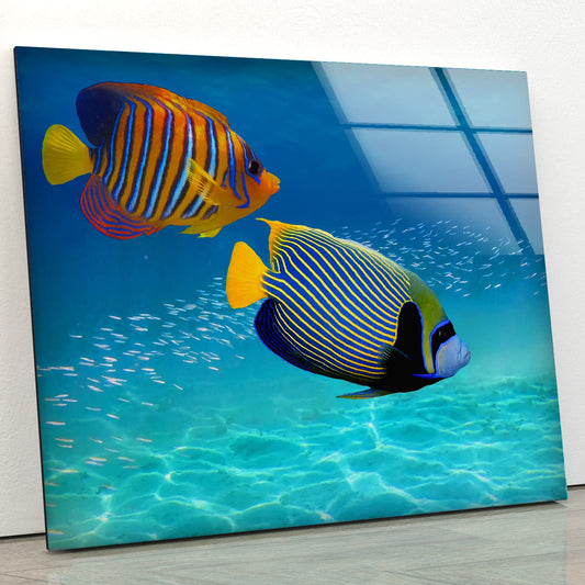 glass wall art with two brightly coloured tropical reef fish swimming in the ocean
