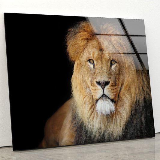 african lion glass wall art with a black background displayed against a light wall
