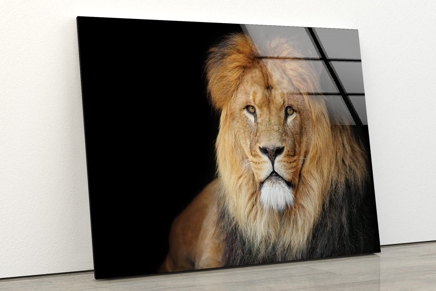 Majestic African Lion Glass Wall Art