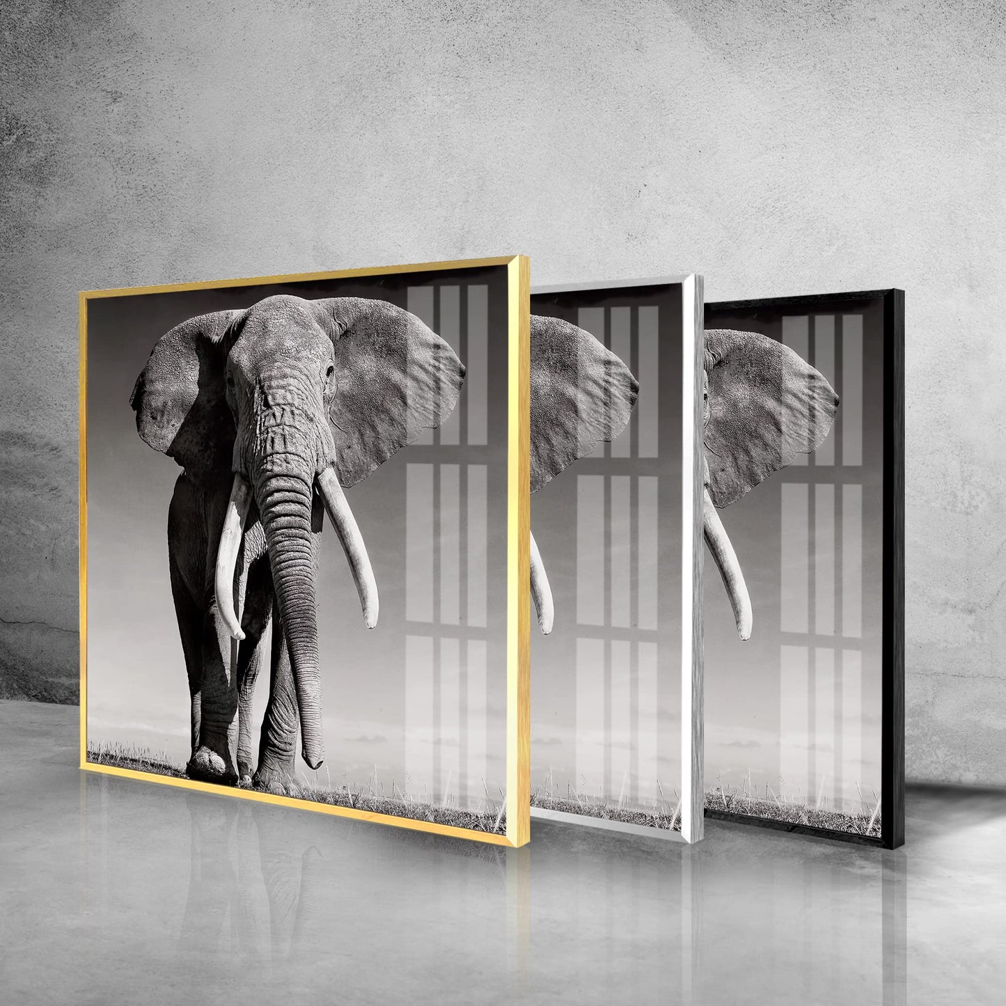 African Bull Elephant Glass Wall Art