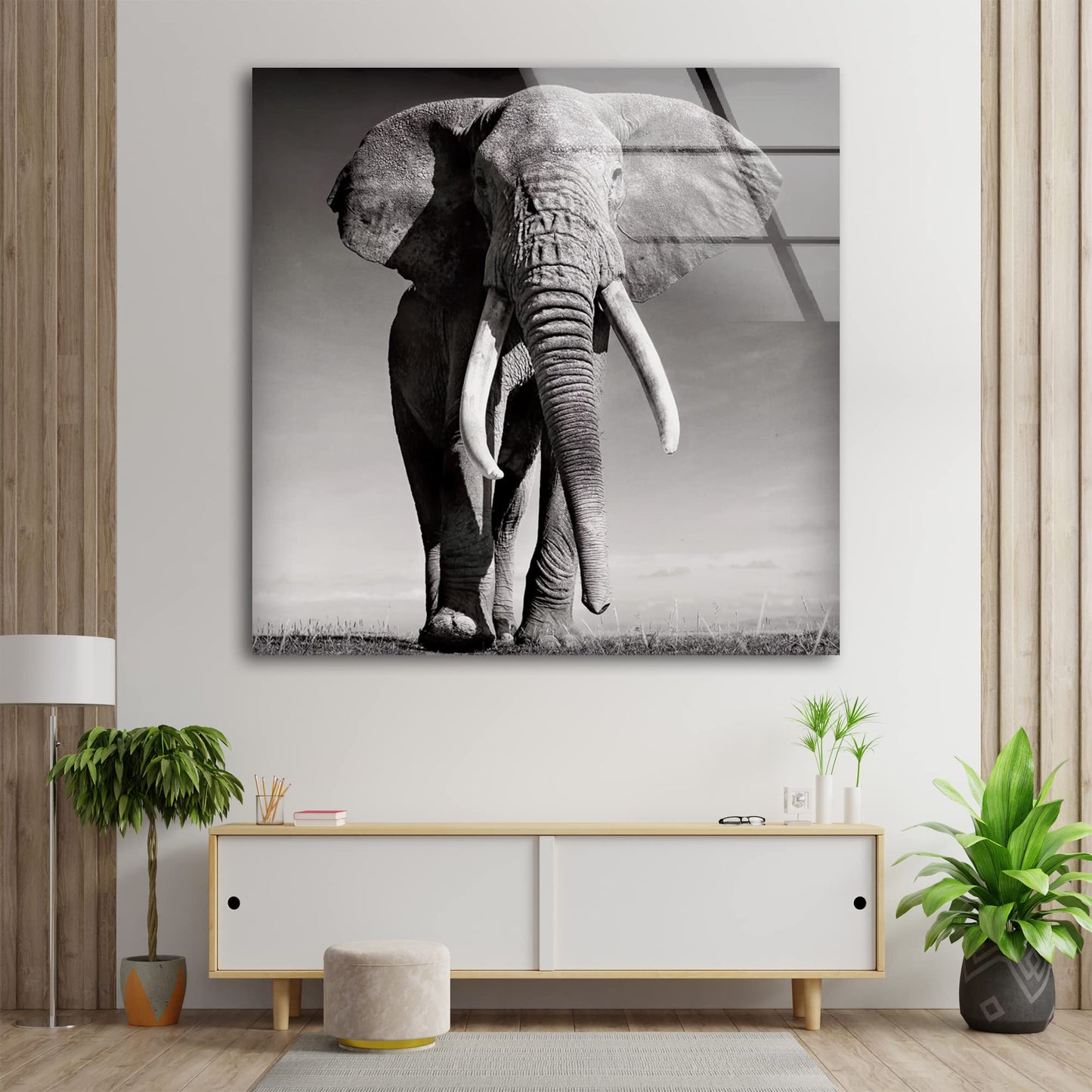 African Bull Elephant Glass Wall Art