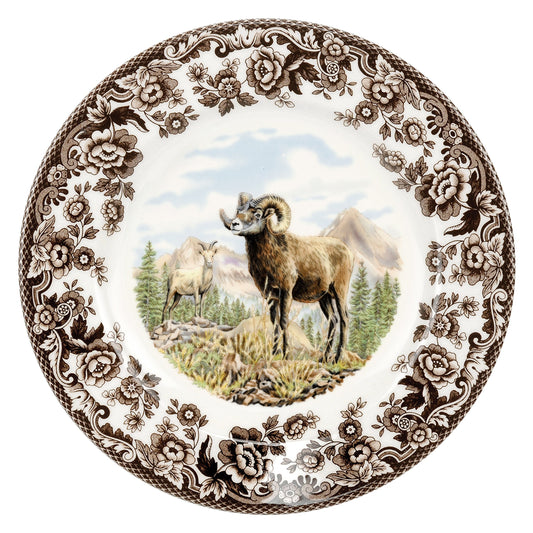 spode dinner plate with a bighorn sheep design
