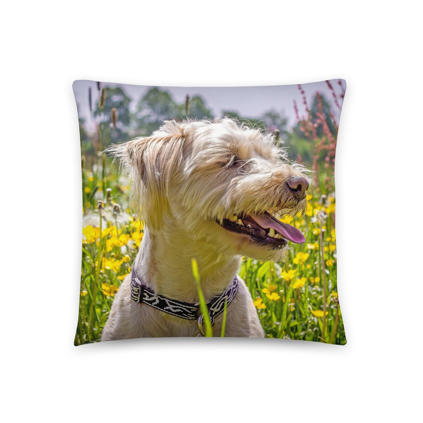 A Soft Throw Pillow Printed with a Dog in a Field of Wild Flowers