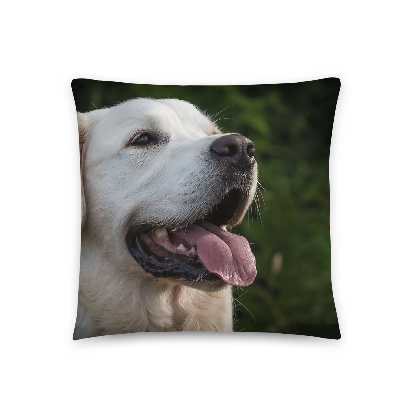 A Soft Throw Pillow Printed with a Labrador