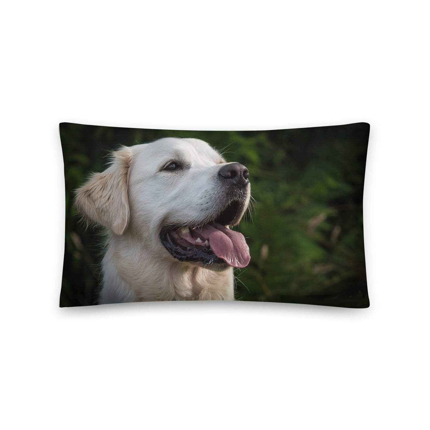 A Soft Throw Pillow Printed with a Labrador