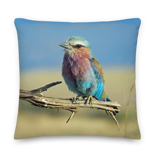 lilac breasted roller image on a blue and beige cushion