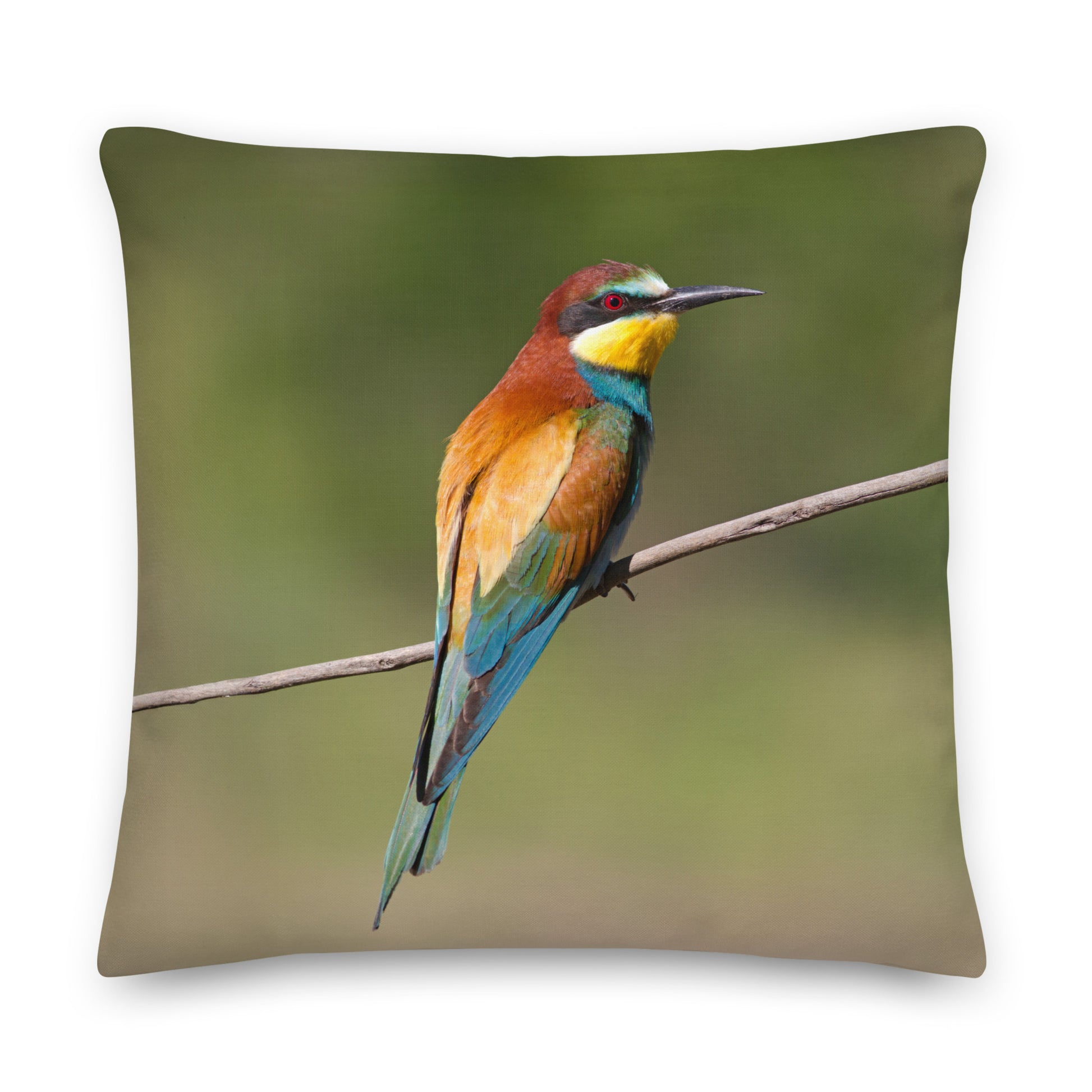 bee eater bird design on a green cushion pillow