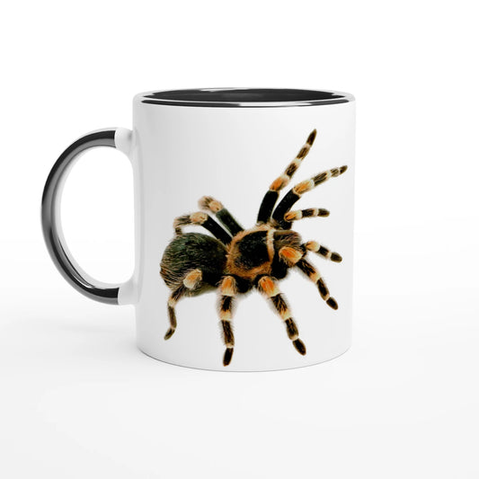 tarantula spider image on a ceramic coffee mug