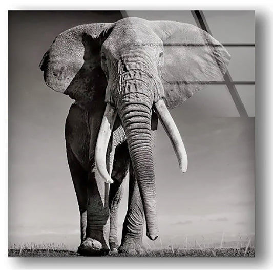 african bull elephant glass wall art