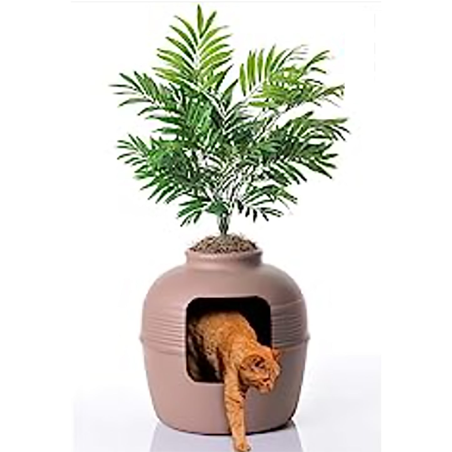 hidden cat litter container  on a white background