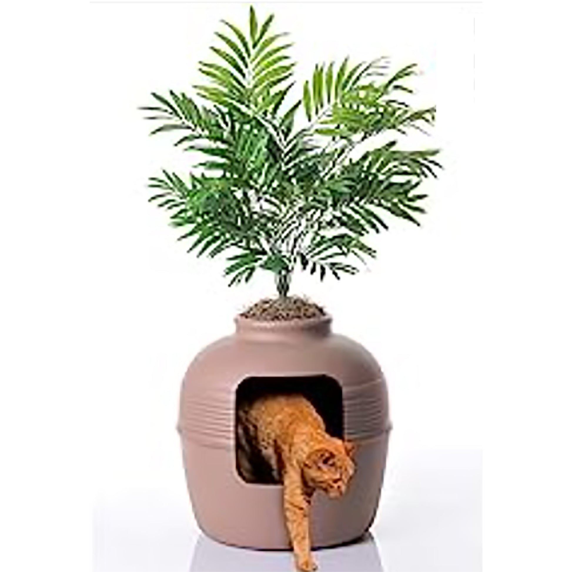 hidden cat litter container  on a white background