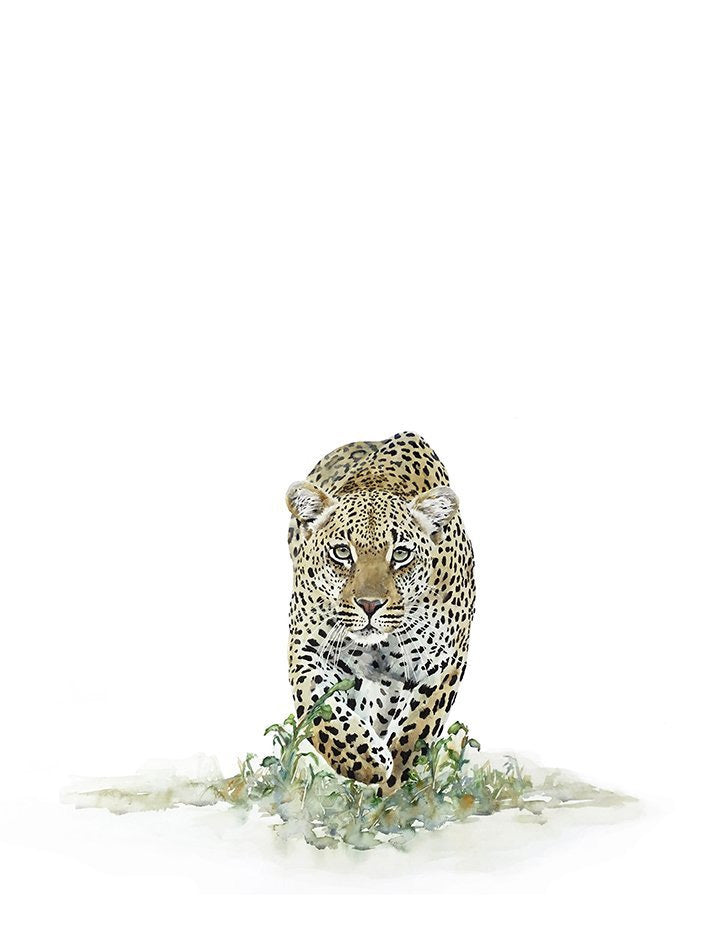 Leopard titled "The Stalker" - Print by Wildlife Artist Sue Dickinson