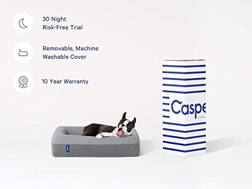 Casper Dog Bed with Memory Foam