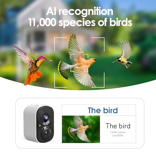 Smart Bird Feeder with wireless Camera