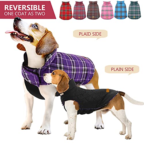 Reversible waterproof Dog Jacket