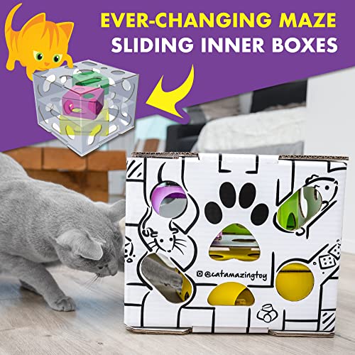 Puzzle Toy for Indoor Cats