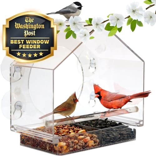 Clear Plastic Window Bird Feeder for Mounting on the Window