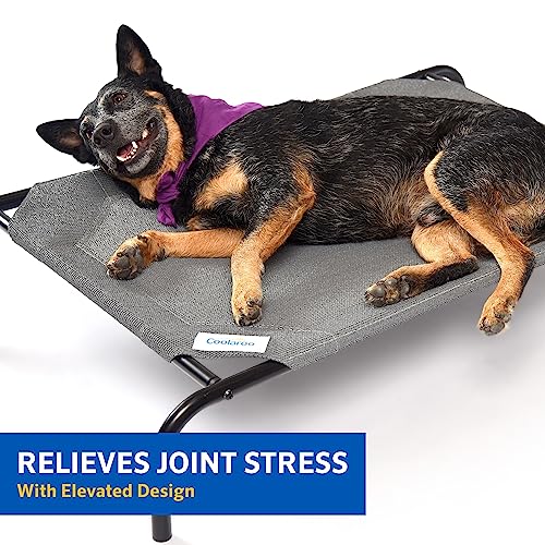 Elevated Dog Bed for Indoor and Outdoors