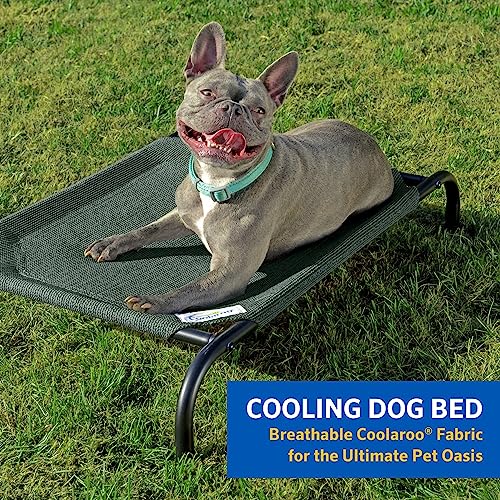 Elevated Dog Bed for Indoor and Outdoors