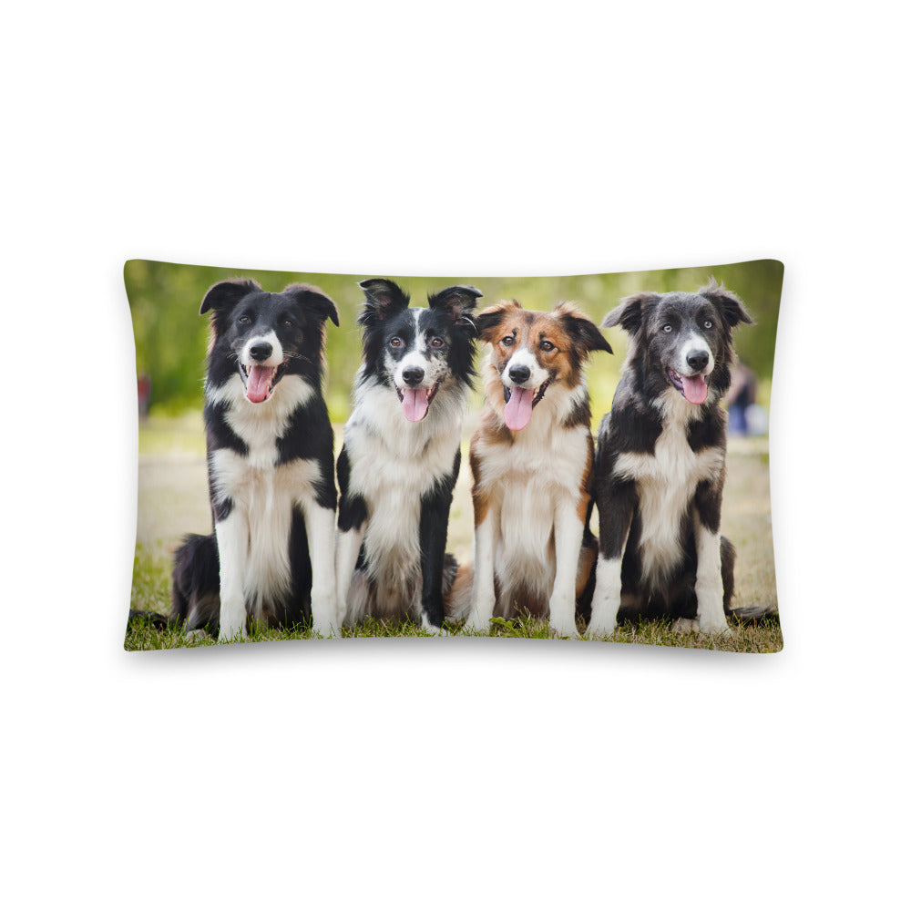 A soft throw pillow printed with Border Collies